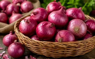 onion